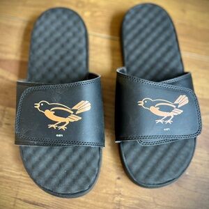 NEW! Orioles slides!